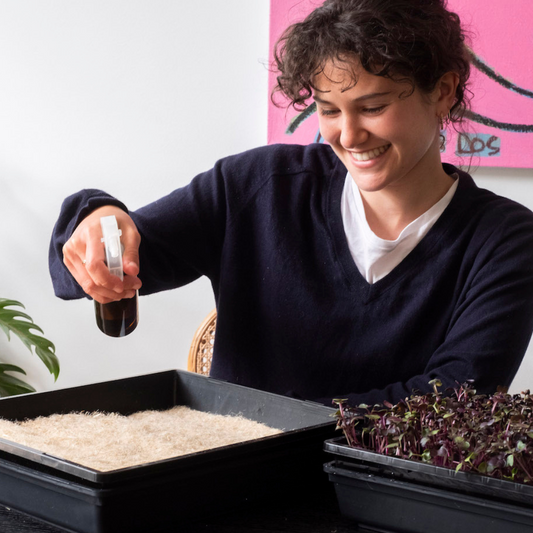 The Farmwall Microgreen Kit