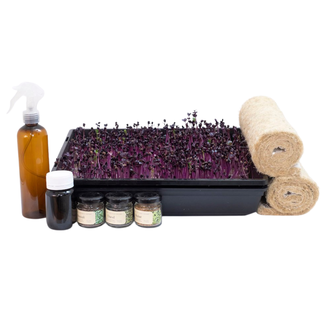 The Farmwall Microgreen Kit