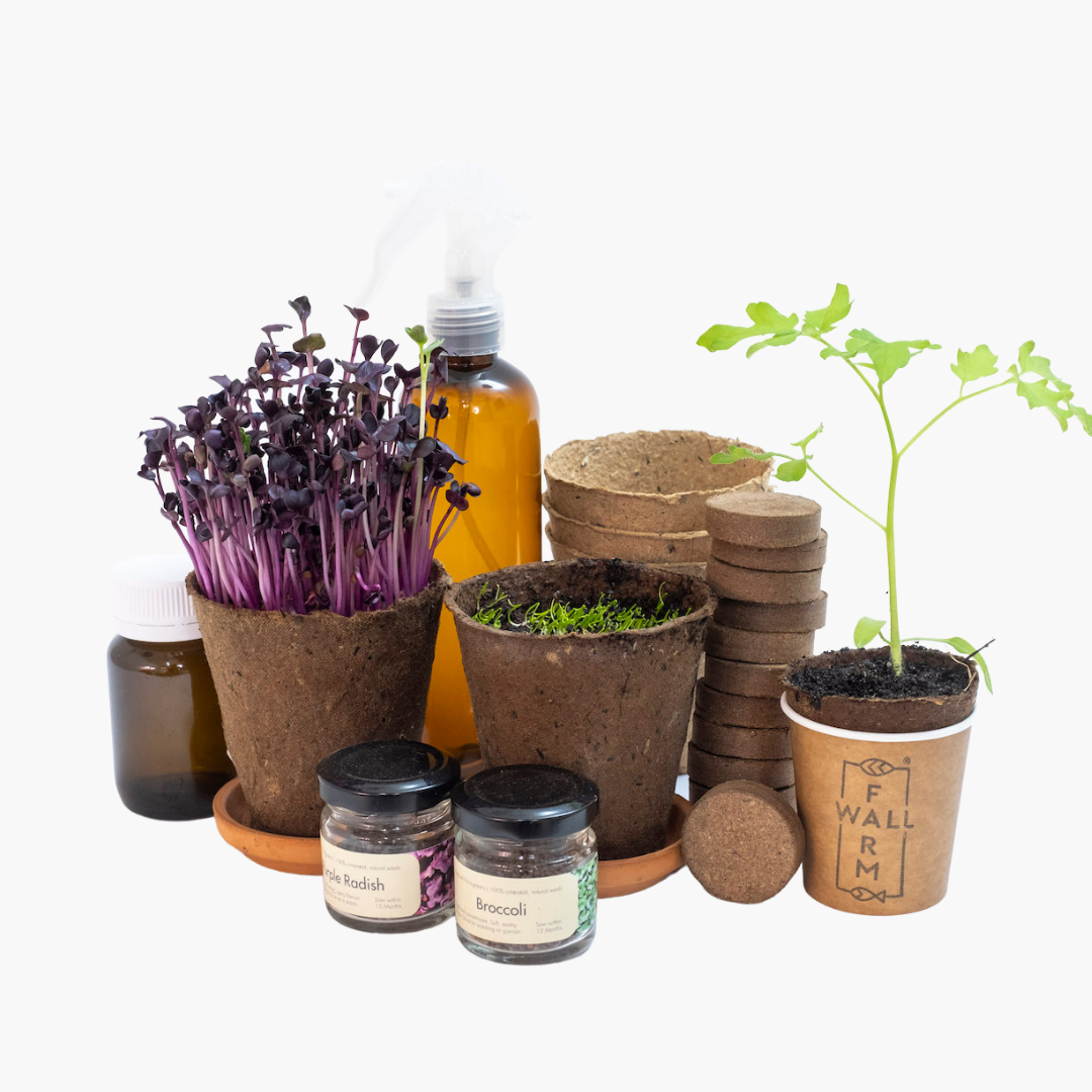 Sustainability Engagement Kit