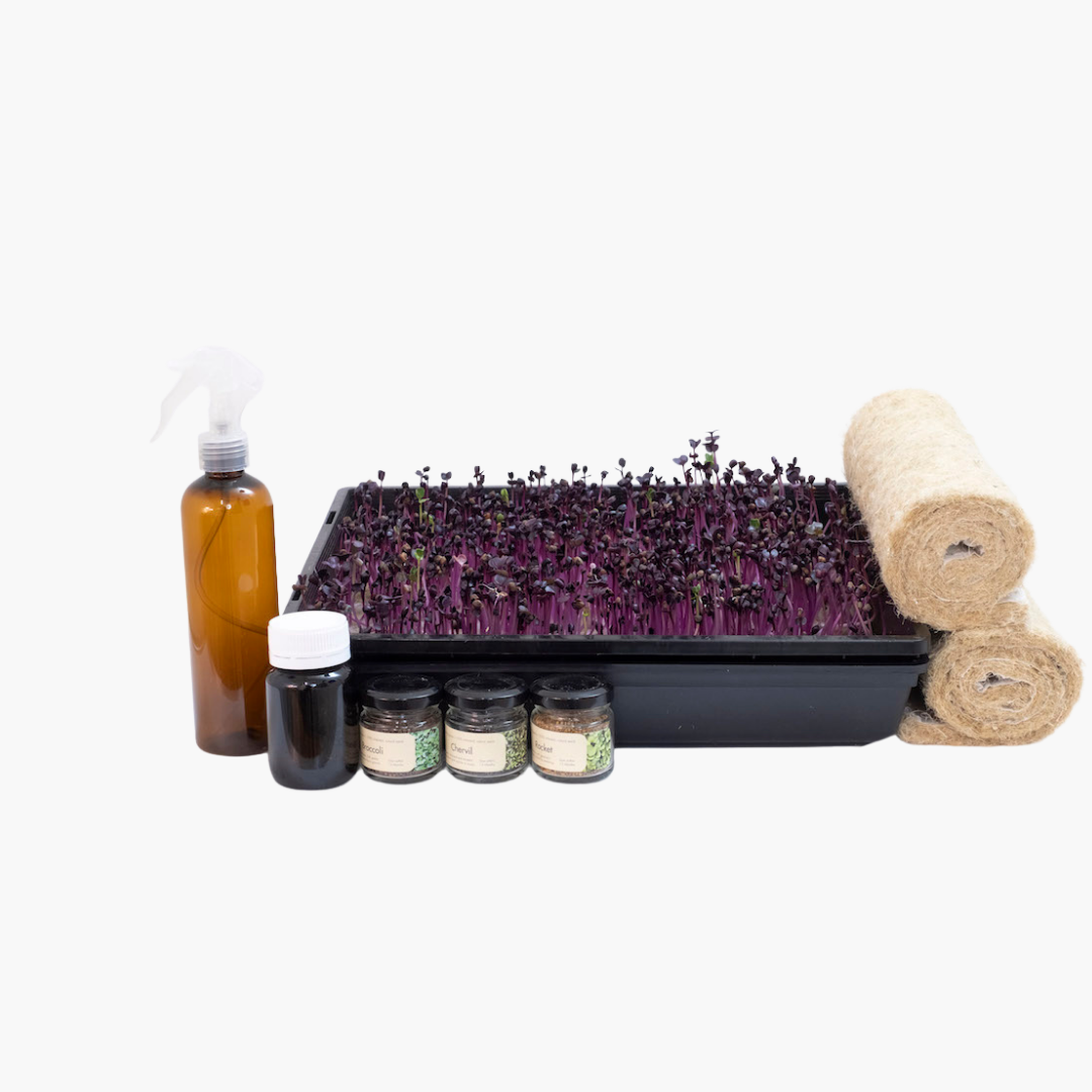 The Farmwall Microgreen Kit
