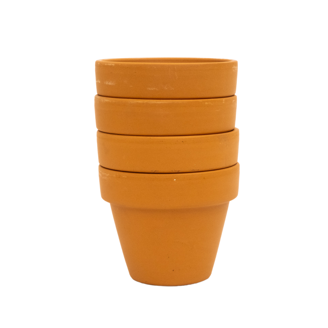 Sustainability Engagement Kit
