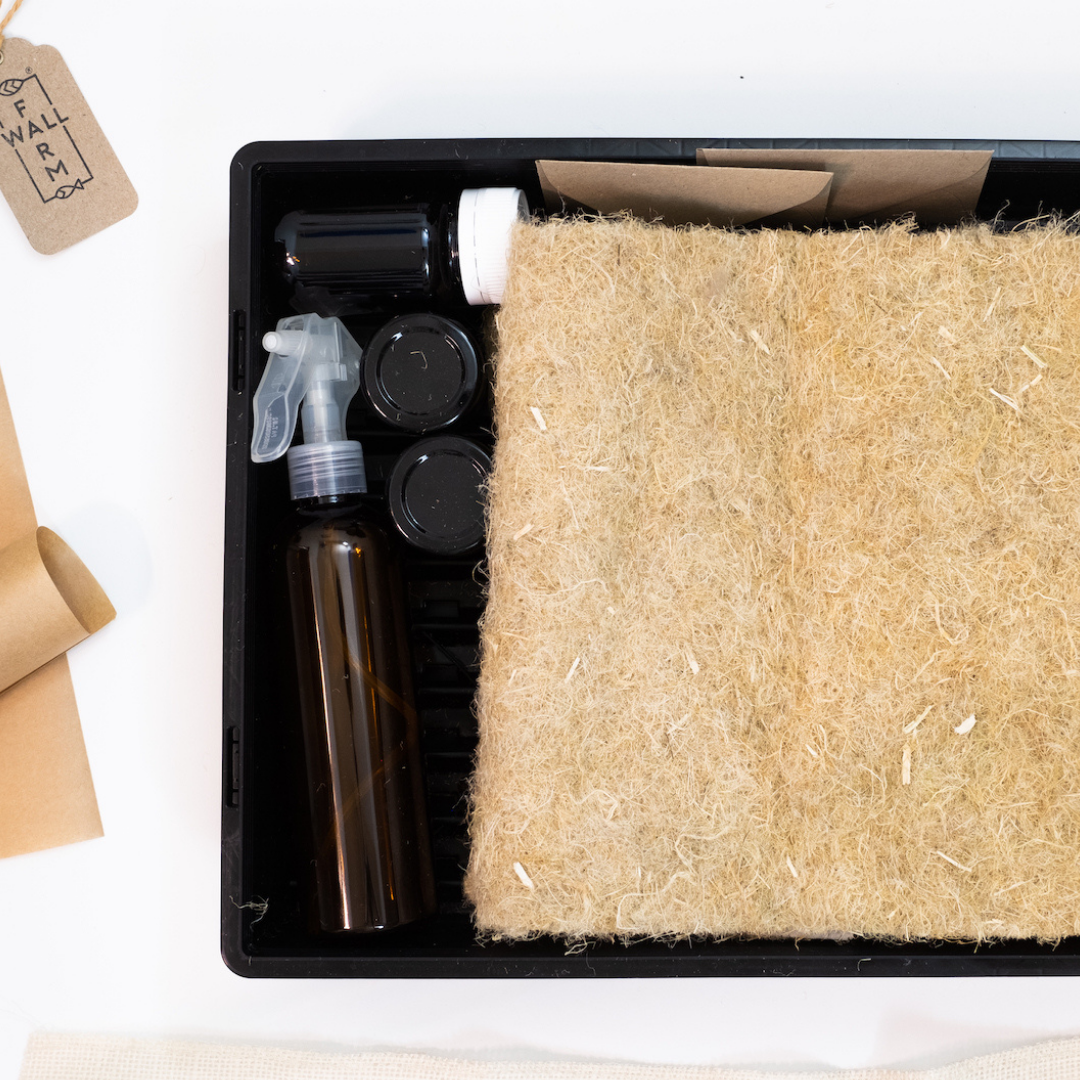 The Farmwall Microgreen Kit