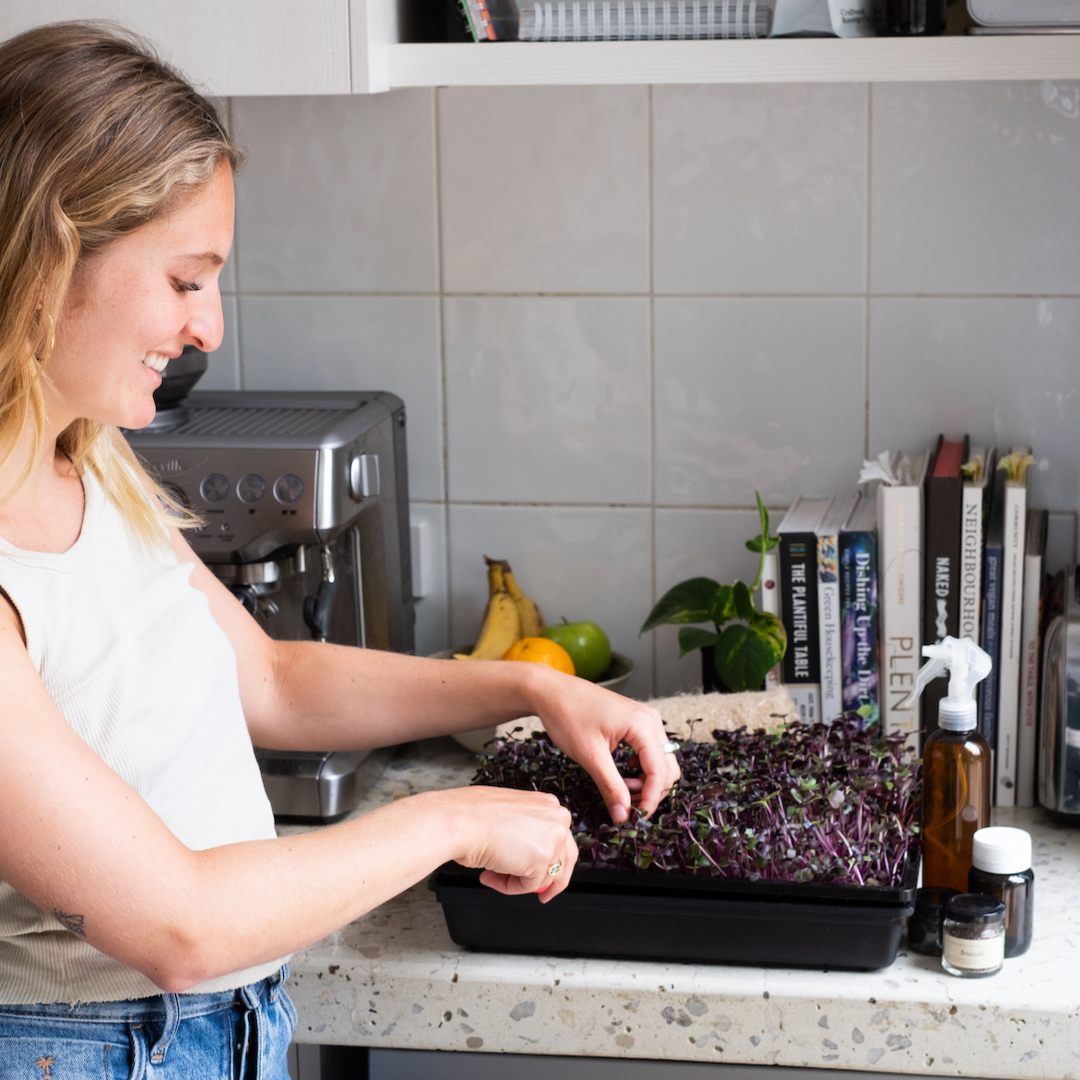 The Farmwall Microgreen Kit